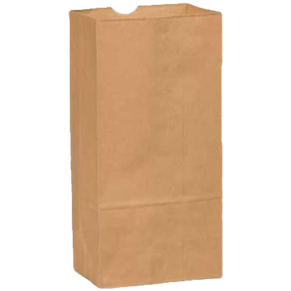 06 lb Brown Paper Bags
