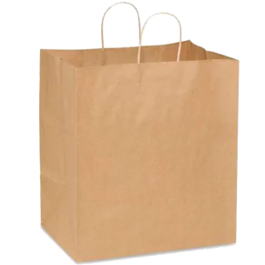 Large Craft Paper Bags with Handle (70B)