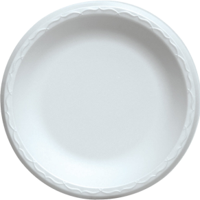 White Foam Plates, 10 inch